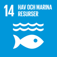 Globala målen 14 - Hav och marina resurser (pdf 1.52 MB, ny flik).