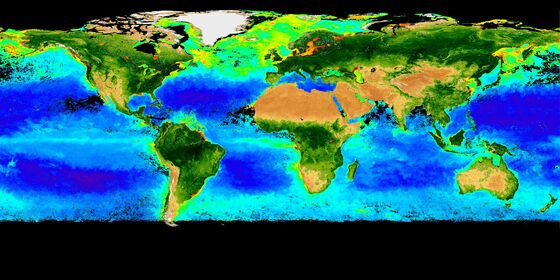 Biosphere: Marine Chlorophyll. Concentration and Land Vegetation. (jpg  1.96 MB, new tab)