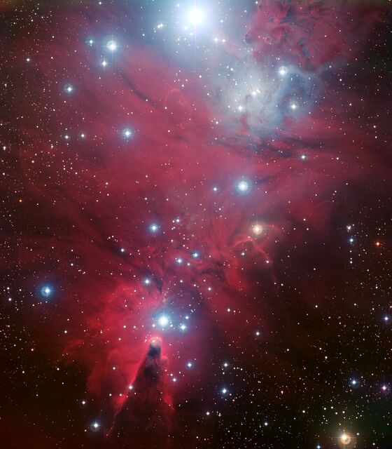 NGC 2264 och julgransklustret.