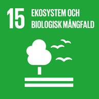 Globala målen 15 - Ekosystem (pdf 2.03 MB, ny flik).