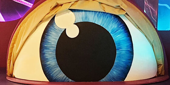 The children's room - the eye.