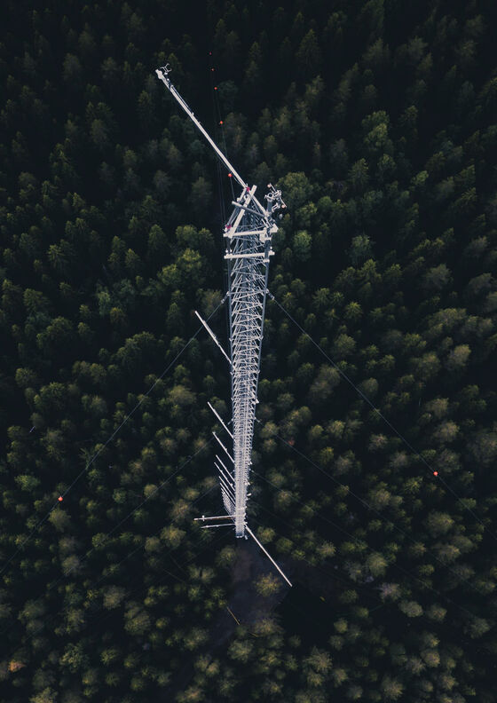  Icos - Svartberget's research station located in the middle of a large 100-year-old forest. Photo: Konsta Punkka