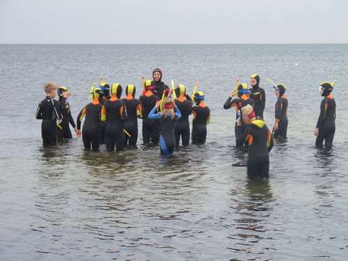 Snorkling på SEA-U, Ribban i Malmö