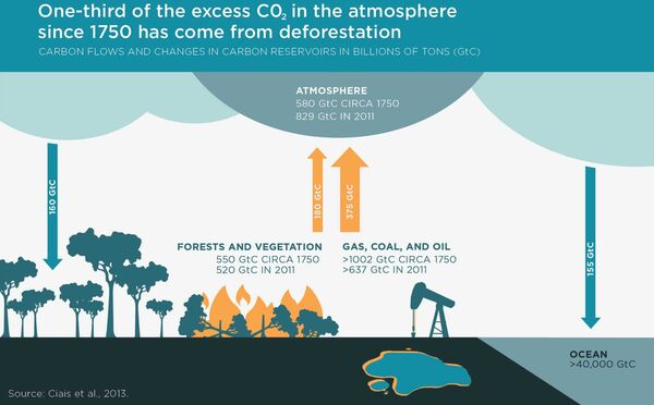 Source: Center for Global Development (Ciais et al. 2013), https://www.cgdev.org/blog/what-if-we-had-safe-and-natural-way-capture-and-store-carbon