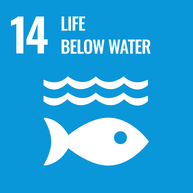 Goal 14: Life Below Water.