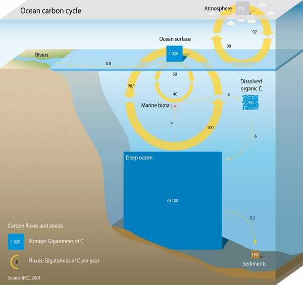 Source: IPCC 2001; https://www.grida.no/resources/7555 Creative commons.