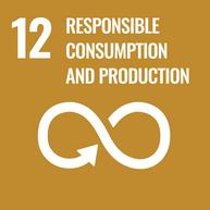 Goal 12: Responsible consumption and production.