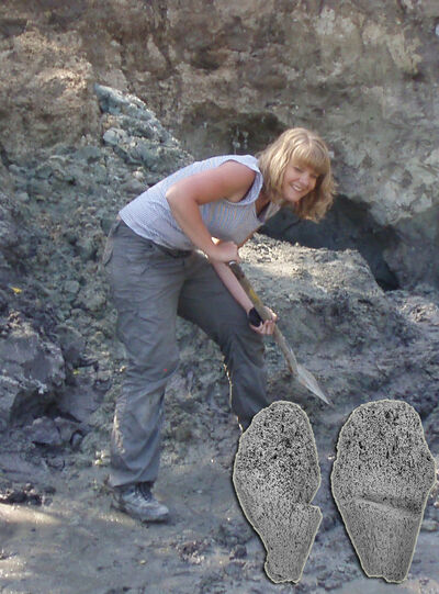 Elisabeth Einarsson gräver ut fossiler.