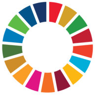 What are the Sustainable Development Goals?