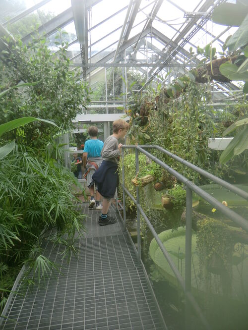 Utflykt till Botaniska trädgården