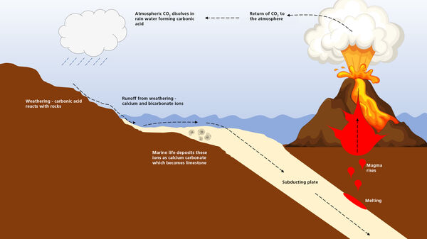 Geological carbon cycle