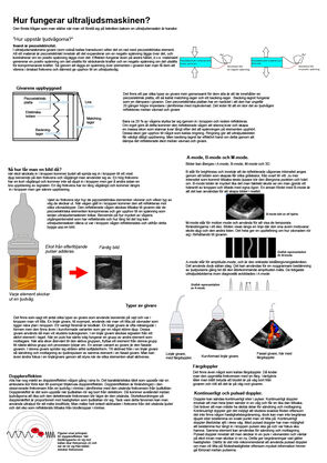 How does the ultrasound machine work? - Poster (pdf 341 pdf, new tab, in Swedish).