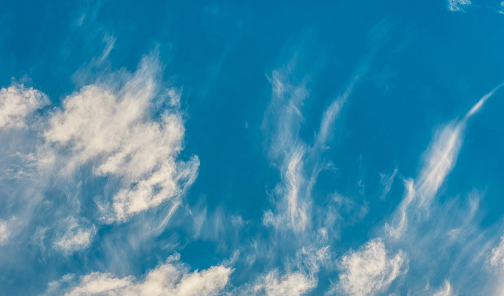 Fjädermoln mot en klarblå himmel. Foto från Unsplash.