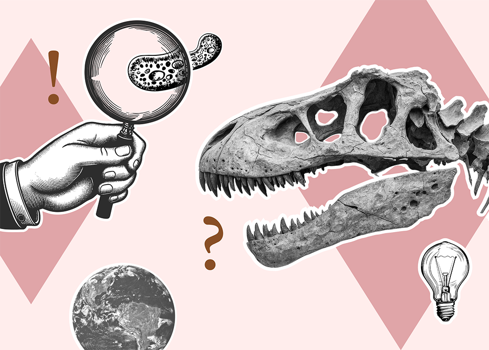Illustration med T-rex-skelett, förstoringsglas och jordglob mot rosa bakgrund. 