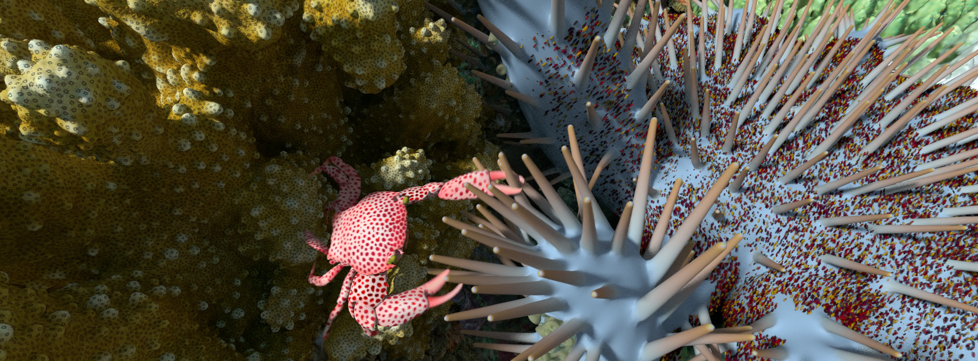 Korallrevens värld.  Bild: California Academy of Sciences.