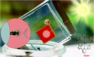 Image and principle of dye-sensitized solar cell